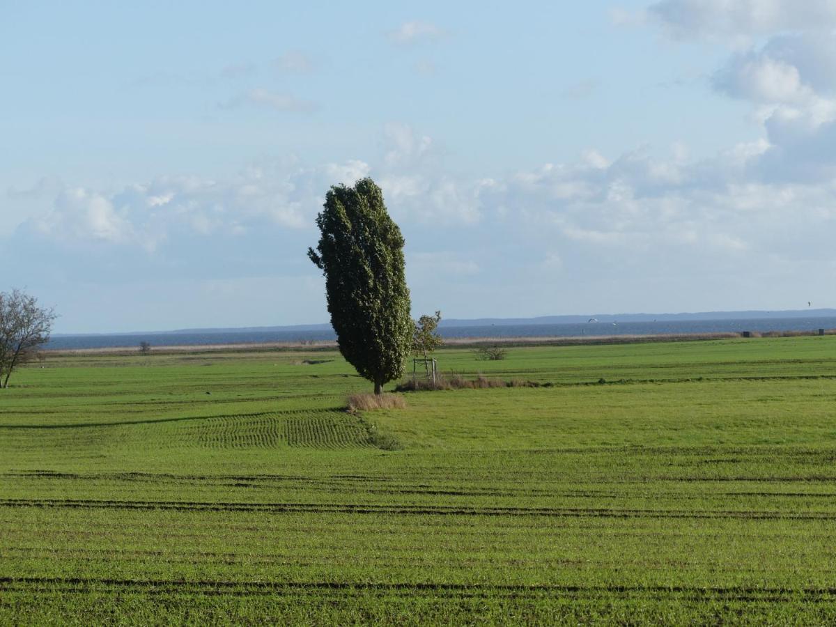 Stolpe auf Usedom Landhaus Am Haff מראה חיצוני תמונה