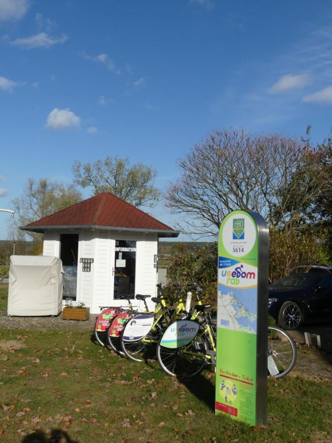 Stolpe auf Usedom Landhaus Am Haff מראה חיצוני תמונה