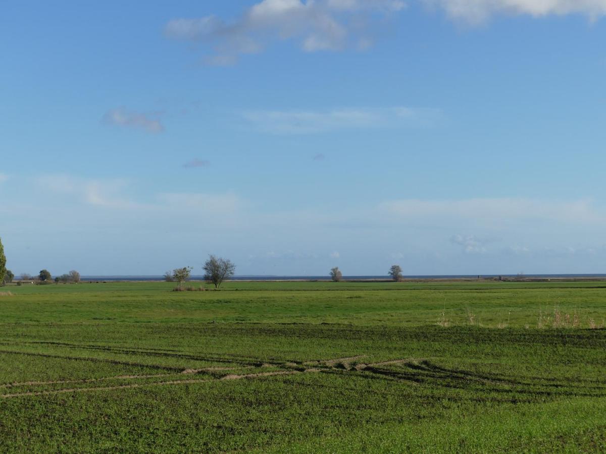 Stolpe auf Usedom Landhaus Am Haff מראה חיצוני תמונה