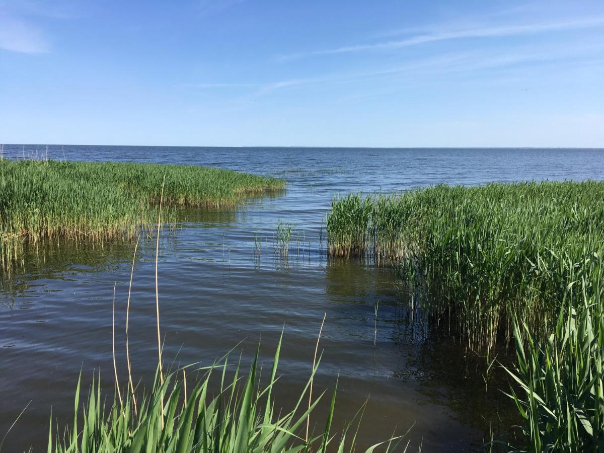 Stolpe auf Usedom Landhaus Am Haff מראה חיצוני תמונה